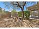 Landscaped backyard featuring desert landscaping, covered patio, and mature trees at 2117 Bay Thrush Way, North Las Vegas, NV 89084
