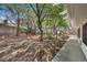 View of spacious backyard with privacy wall, mature trees, and concrete patio at 3201 Beacon Shores Cir, Las Vegas, NV 89117