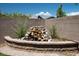 Landscaped backyard featuring a rock waterfall and mature plants at 3484 Bradano Ln, Henderson, NV 89044