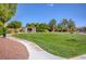 Expansive lawn with mature landscaping and sheltered seating offers a community gathering place at 8564 Mayport Dr, Las Vegas, NV 89131