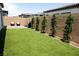 This backyard features artificial turf for easy maintenance and a clean look for outdoor enjoyment at 862 Silverton Springs St, Henderson, NV 89011