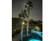 A lush landscape view of the property with large palm trees and a luxury pool at 1016 Eaglewood Dr, Las Vegas, NV 89144