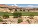 Aerial view of backyard desert landscape and putting green in a desert community at 1407 Wheelwright Ct, Mesquite, NV 89034