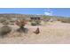 Charming desert dwelling nestled in a natural landscape, surrounded by native flora and unique rock formations at 275 Vegas Dr, Goodsprings, NV 89019