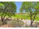 Scenic golf course view with mature trees offering shade and tranquility at 4719 Riva De Romanza St, Las Vegas, NV 89135