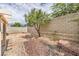 Backyard featuring block wall fence and rock landscaping with a tree at 2177 Hidden Ranch Ter, Henderson, NV 89052