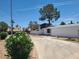 Wide driveway leading to a home with desert landscaping and a mature shade tree in the front yard at 6215 Darby Ave, Las Vegas, NV 89146