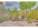 Landscaped backyard featuring lush greenery, trees, and rock accents, creating a serene outdoor retreat at 7908 Morning Gallop Ct, Las Vegas, NV 89131