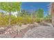 Backyard landscape featuring stone, shrubs, and mature trees, a private desert oasis at 7908 Morning Gallop Ct, Las Vegas, NV 89131