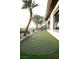 Backyard putting green with white gravel and palm trees at 9 Knob Oak Dr, Henderson, NV 89052