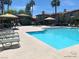Community pool with lounge chairs and shaded seating areas at 10190 Deerfield Beach Ave # 202, Las Vegas, NV 89129
