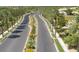 An aerial view showcases a street lined with palm trees, enhancing the community's tropical aesthetic at 10248 Maggira Pl, Las Vegas, NV 89135