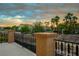 Relaxing balcony showcasing neighborhood view with palm trees and desert landscaping at 2862 Athens Ridge Dr, Henderson, NV 89052