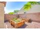 Backyard with raised garden beds and desert landscaping at 8029 Flambeau St, Las Vegas, NV 89131