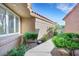 Landscaped walkway, with bright green bushes, leading to a home's side entrance and window at 5008 Shoal Creek Cir, Las Vegas, NV 89113