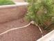 Walled-in section of the backyard with small tree, rock accents, and gravel ground cover at 5052 Whistling Acres Ave, Las Vegas, NV 89131