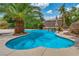 Stunning pool surrounded by mature palm trees, creating a tropical paradise perfect for relaxation and entertainment at 5992 Quintillion Ave, Las Vegas, NV 89122