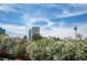 Scenic view of community with blooming flowers, set against a stunning skyline backdrop at 794 Oakmont Ave # 106, Las Vegas, NV 89109