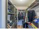 Walk-in closet with open shelving and racks for hanging clothes and accessories at 155 Fallon Dr, Henderson, NV 89074