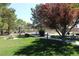 Community park featuring picnic tables and a walking path, inviting residents to enjoy outdoor activities at 3001 Anna Bay Dr, Las Vegas, NV 89134