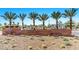 A modern community sign with palm trees and low-maintenance landscaping at 4039 Beech Fern Ave, North Las Vegas, NV 89084
