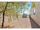 Backyard featuring gravel landscaping, block wall fencing, and a young, leafy tree casting shadows at 5307 Wild Orchid St, North Las Vegas, NV 89031