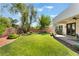 Large backyard with lush green lawn, mature trees, and covered patio for outdoor enjoyment at 8504 Mystic Night Ave, Las Vegas, NV 89143
