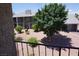 View of the backyard landscaping and building from the balcony at 2898 Violet Ln # 0, Henderson, NV 89074