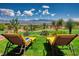 Relaxing backyard featuring lounge chairs on green grass with desert landscape and mountain views at 522 Via Ventana Dr, Mesquite, NV 89027