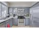Modern kitchen featuring gray cabinets, stainless steel appliances, and sleek countertops at 10605 Moon Flower Arbor Pl, Las Vegas, NV 89144