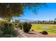 Backyard view featuring golf course and mountain views at 1187 Mohave Dr, Mesquite, NV 89027