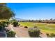 Beautiful golf course view showcasing lush greenery and scenic landscaping with mountain views at 1187 Mohave Dr, Mesquite, NV 89027