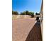 Spacious backyard area with rock landscaping and a tall block wall providing privacy at 1318 Pine Terrace Ct, North Las Vegas, NV 89031