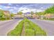 View of the Alterra community entrance through landscaped median at 2497 Birch Hollow St, Henderson, NV 89044