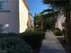 Well-maintained community sidewalks lined with mature landscaping and palm trees at 4555 E Sahara Ave # 226, Las Vegas, NV 89104