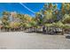 Scenic view of an outdoor horse arena surrounded by mature trees at 6325 Guy Ave Ave, Las Vegas, NV 89131
