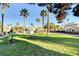 Expansive grassy area with mature palm trees and lush landscaping at 7952 Diamond Rock Way # 102, Las Vegas, NV 89128