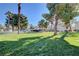 Lush green space with mature palm trees and vibrant landscaping at 7952 Diamond Rock Way # 102, Las Vegas, NV 89128
