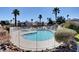 Community pool surrounded by lush landscaping and palm trees under a bright blue sky at 7952 Diamond Rock Way # 102, Las Vegas, NV 89128