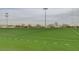 Well-maintained sports field with green turf, white lines, goalposts, and lighting poles for recreational activities at 8113 Gothic Ave, Las Vegas, NV 89117