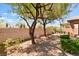 Landscaped backyard featuring mature trees, a stone wall, and a serene gravel area at 9025 Loggers Mill Ave, Las Vegas, NV 89143