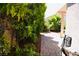 Landscaped backyard with brick-paved path at 9355 W Viking Rd, Las Vegas, NV 89147