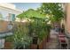 Backyard garden featuring raised garden beds and mature plants at 2108 Inverness Dr, Henderson, NV 89074