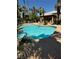 Community pool surrounded by lush palm trees, offering a relaxing outdoor oasis at 682 Corte Madera Ave, Henderson, NV 89015