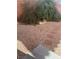 Gravel backyard featuring stepping stones and lush greenery at 7977 Delft Blue St, Las Vegas, NV 89139