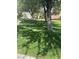 Green space in a community with trees offering shade to the lawn at 7977 Delft Blue St, Las Vegas, NV 89139