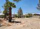Spacious front yard featuring desert landscaping and mature palm trees at 2645 Lindell Rd, Las Vegas, NV 89146