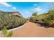 Gravel backyard with lush landscaping, offering privacy and a natural setting at 3029 Brownbirds Nest Dr, Henderson, NV 89052