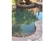 A close-up view of the backyard pond with rock edging, reflecting the surrounding landscape and adding natural beauty at 3167 El Cedro Cir, Las Vegas, NV 89121