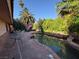 Lush backyard featuring a private pool, mature palm trees, and inviting patio area at 3167 El Cedro Cir, Las Vegas, NV 89121